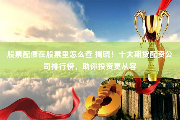 股票配债在股票里怎么查 揭晓！十大期货配资公司排行榜，助你投资更从容