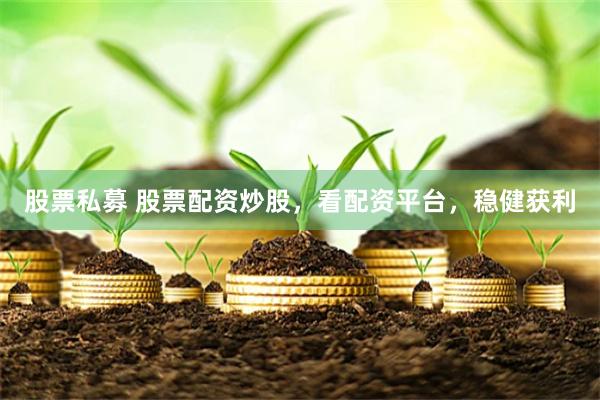 股票私募 股票配资炒股，看配资平台，稳健获利